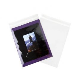 Plastpåsar 23.4x32.5cm genomskinliga och återförslutningsbara (100 st) [KO-30174]