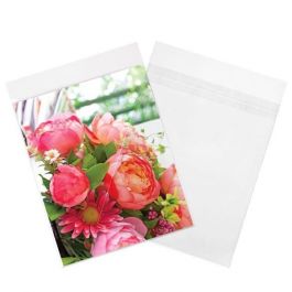 Plastpåsar 21,4x22,7cm Transparent med Tejpremsa (100 st) [B108SPC]
