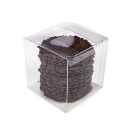 Kristallklar låda rPET 10.2x10.2x10.2 cm (25 st) [FB56R]