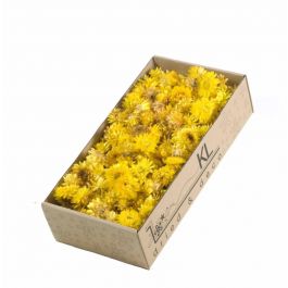 Dried Flowers Helichrysum heads 100gr naturel Yellow (1 Box) [RU-00217.000.5]