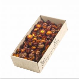 Dried Flowers Helichrysum heads 100gr naturel red (1 Box) [RU-00227.000.5]