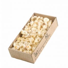 Dried Flowers Helichrysum heads 100gr naturel white (1 Box) [RU-00229.000.5]
