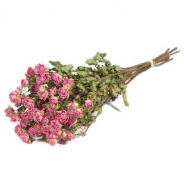 Dried Flowers Roses spray natural light pink (1 Bundle) [RU-01594.000.9]