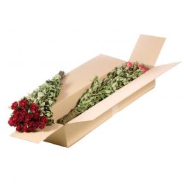Dried Flowers Roses spray natural red (1 Bundle) [RU-01595.000.9]