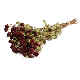 Dried Flowers Roses spray naturel dark red (1 Bundle) [RU-01596.000.9]