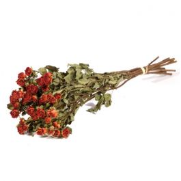 Dried Flowers Roses spray natural orange (1 Bundle) [RU-01598.000.9]